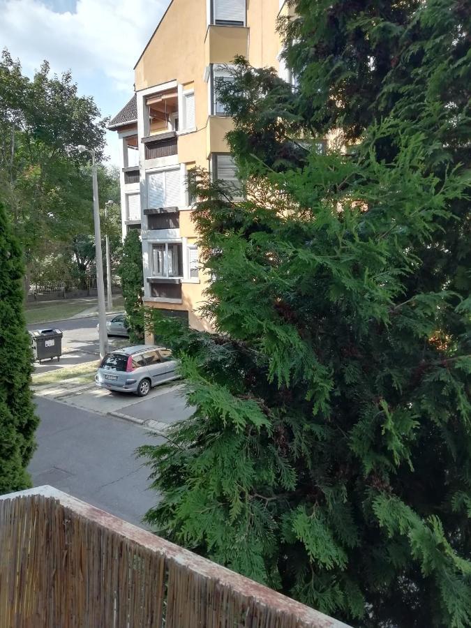 Rokus Apartman Apartment แซแก็ด ภายนอก รูปภาพ